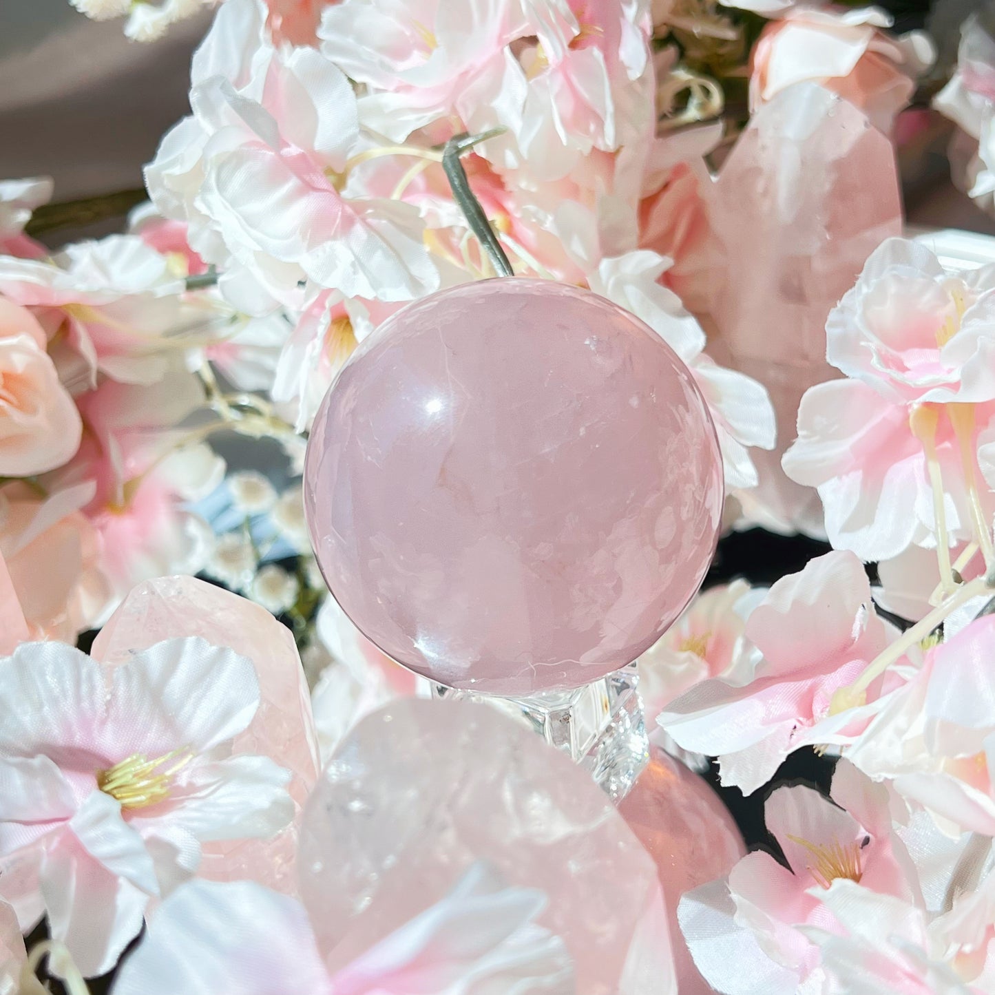 Multi-Asterism Rose Quartz Spheres